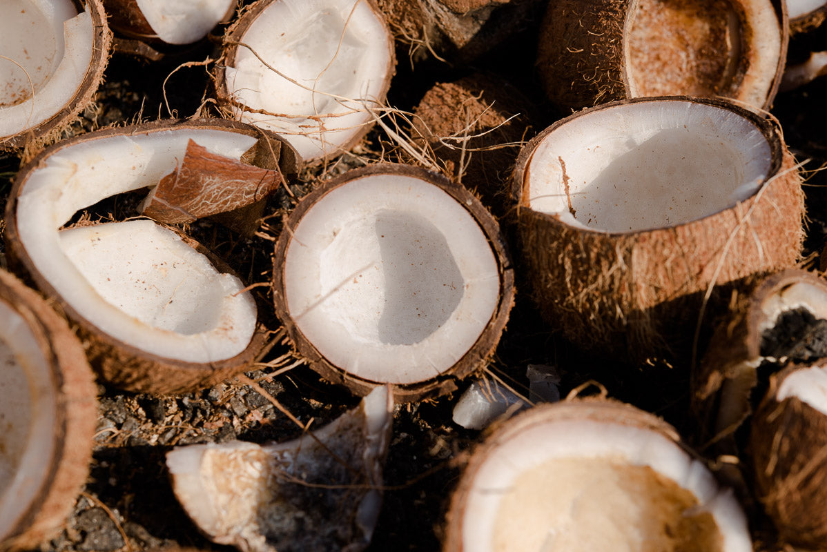 Beurre de coco : comment faire le beurre de coco à la maison